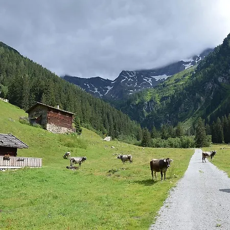 Appartement Kofler Ferienwohnungen,zimmer