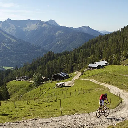 Kofler Ferienwohnungen,zimmer *